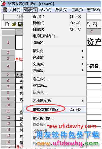 用友T3财务报表不能切换数据格式状态？ 用友T3 第2张