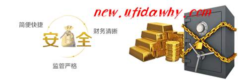 金蝶KIS记账王破解版不安全