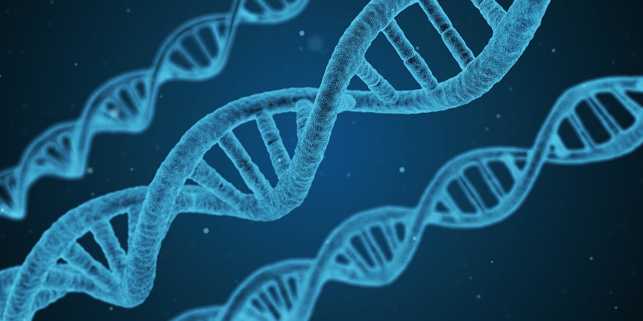 爱信诺增值税发票抵扣分录：解密抵扣方法，企业必备的抵扣知识大揭秘