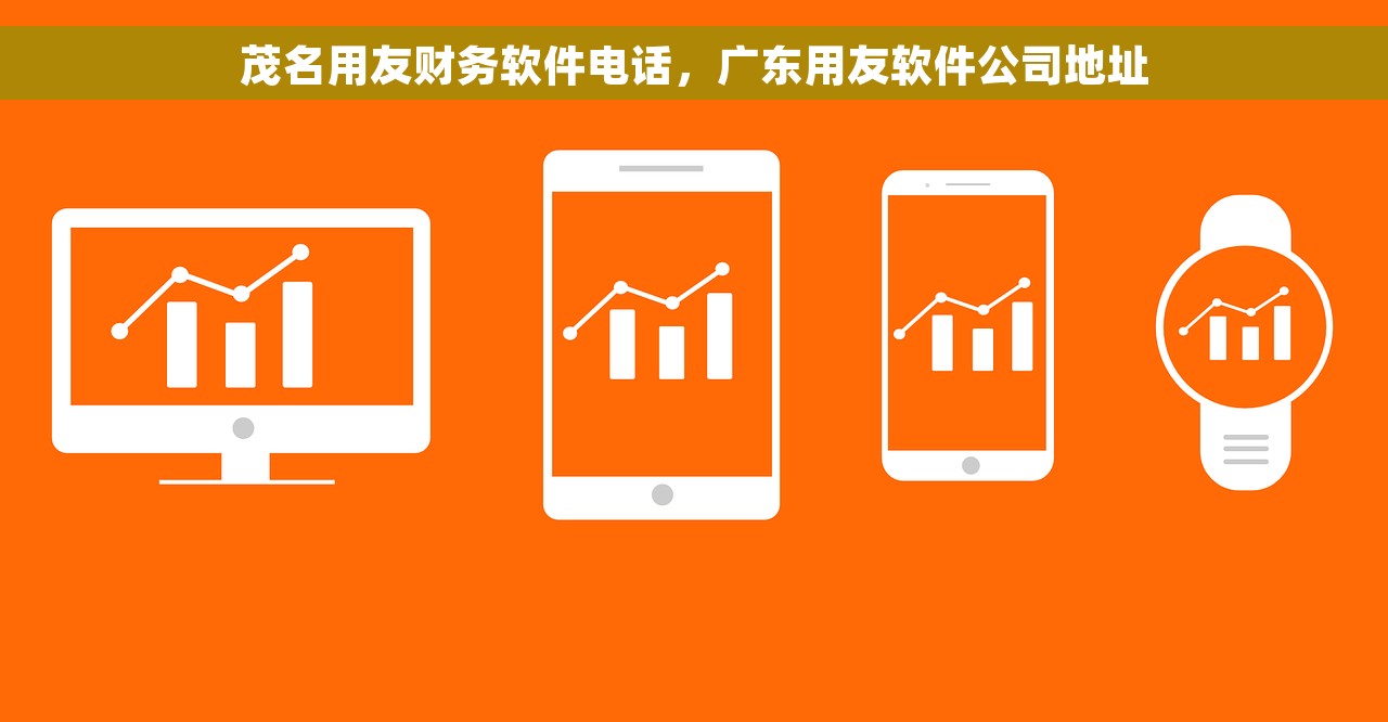 金蝶智慧记不能打开怎么办，金蝶智慧记的缺点