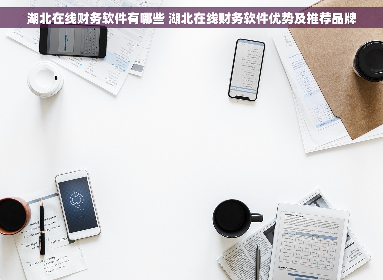 从财务软件看本年收入怎么看的 财务软件轻松透明化本年收入，立即查看年度营收利润！
