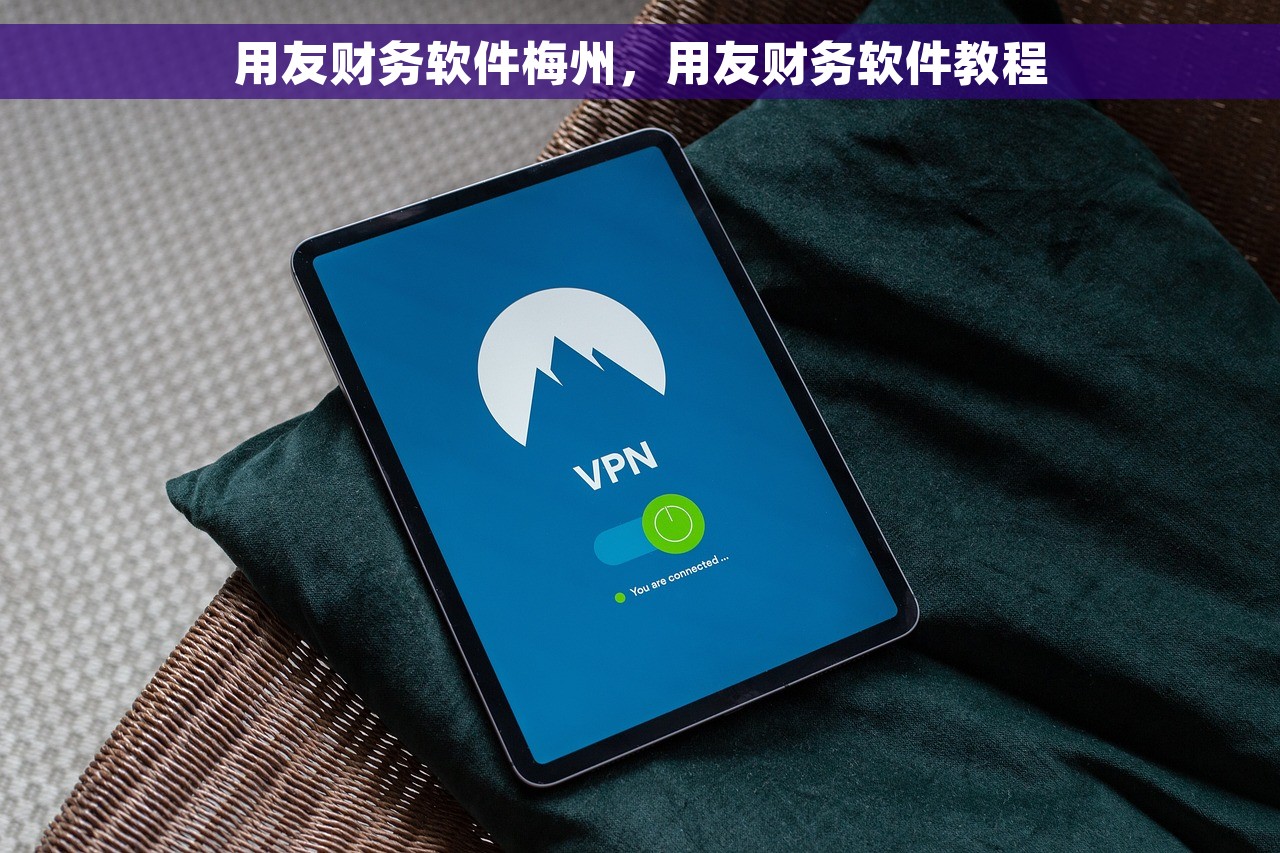 福斯特财务软件实训内容，福斯特基础会计实训内容