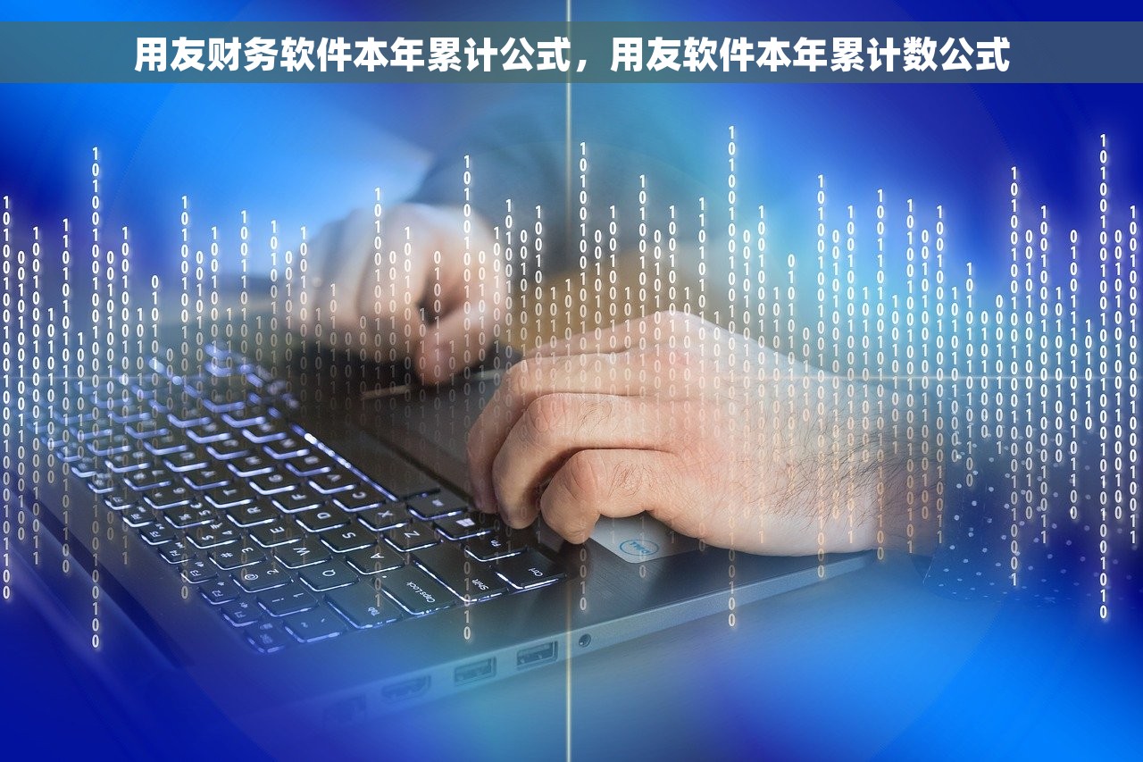 财务软件应收应付如何设置，财务软件应付账款怎么导出