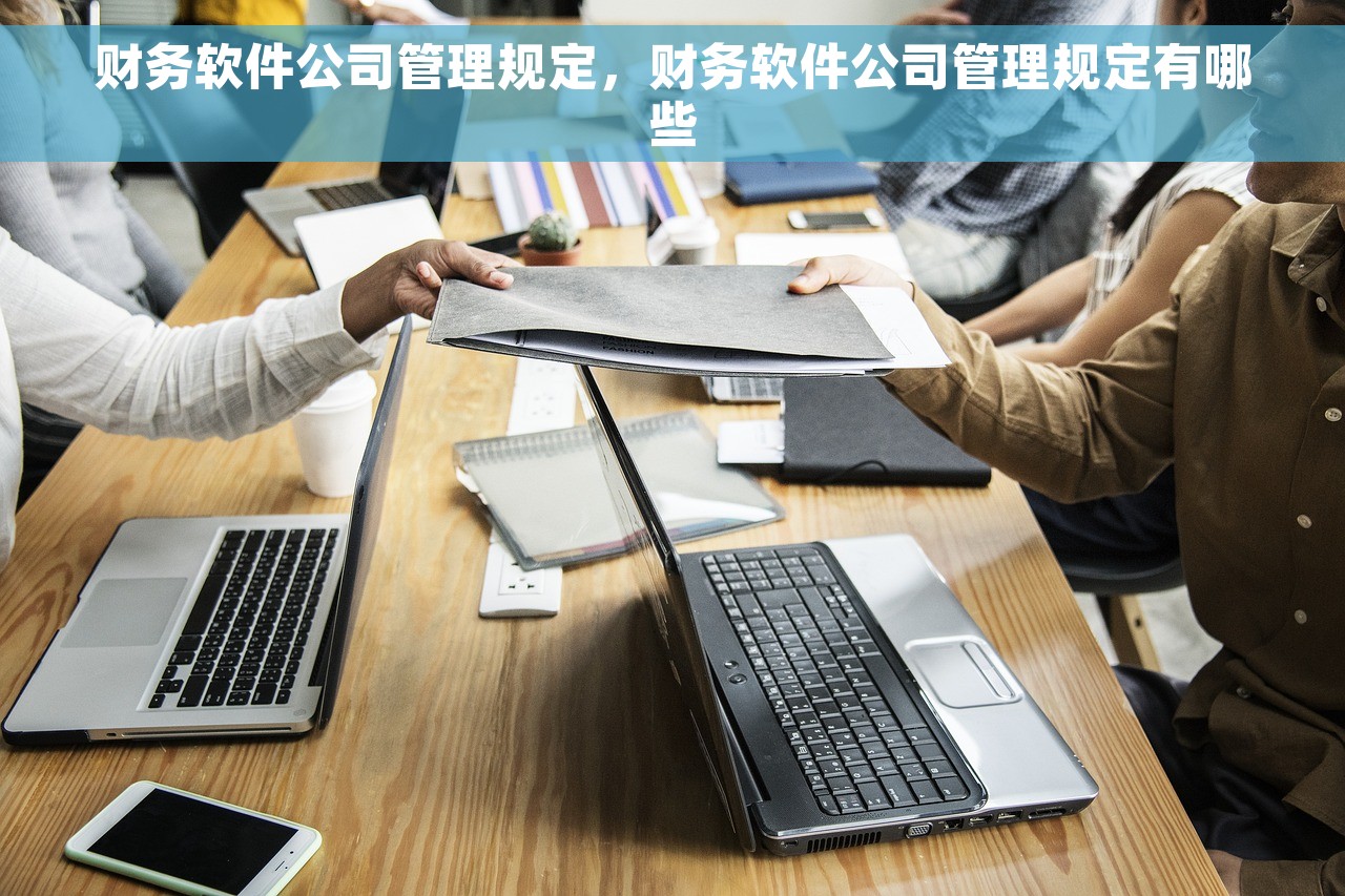 记账软件为什么凭证红字不能用 记账软件解析凭证红字问题及影响企业税务管理