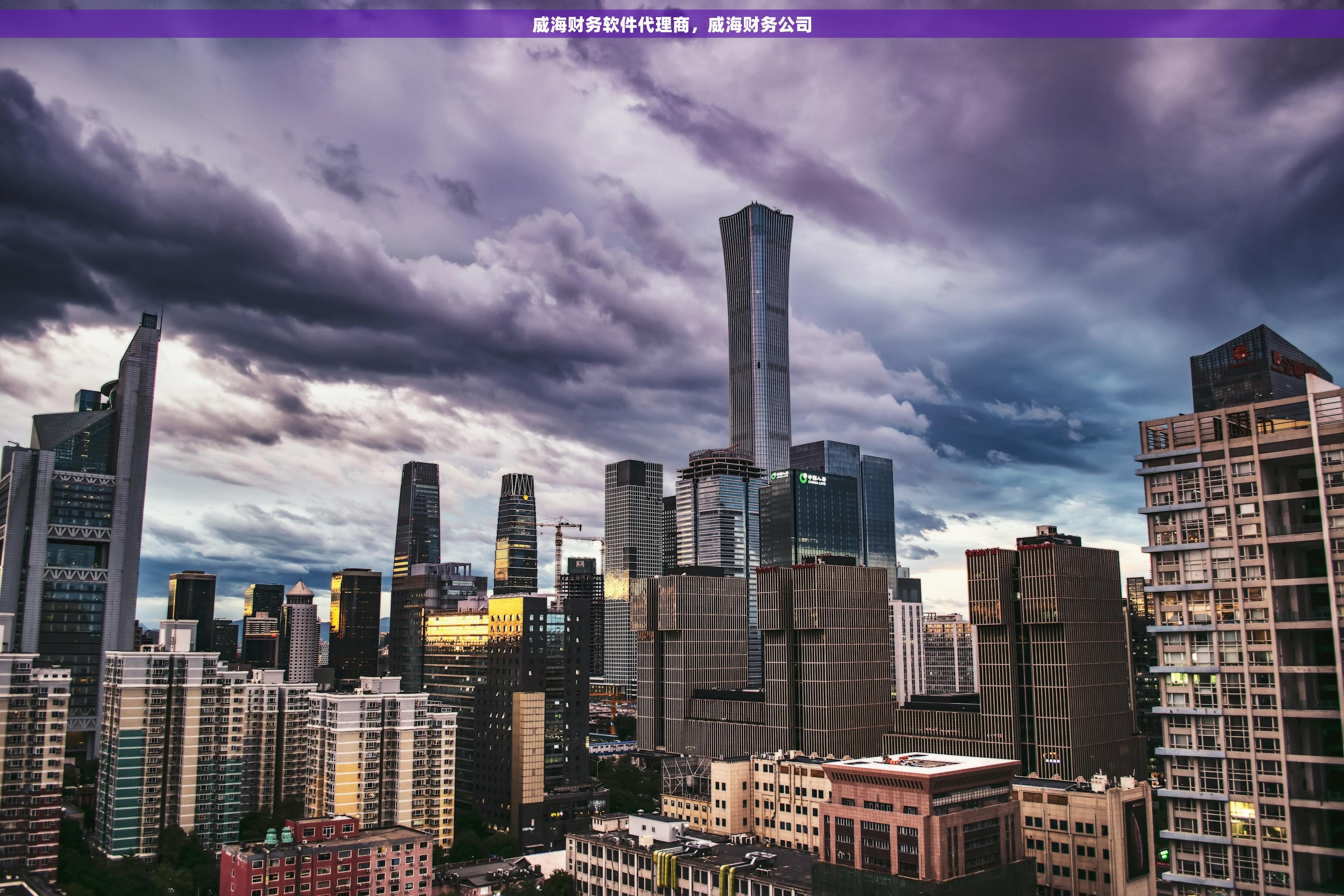 威海财务软件代理商，威海财务公司