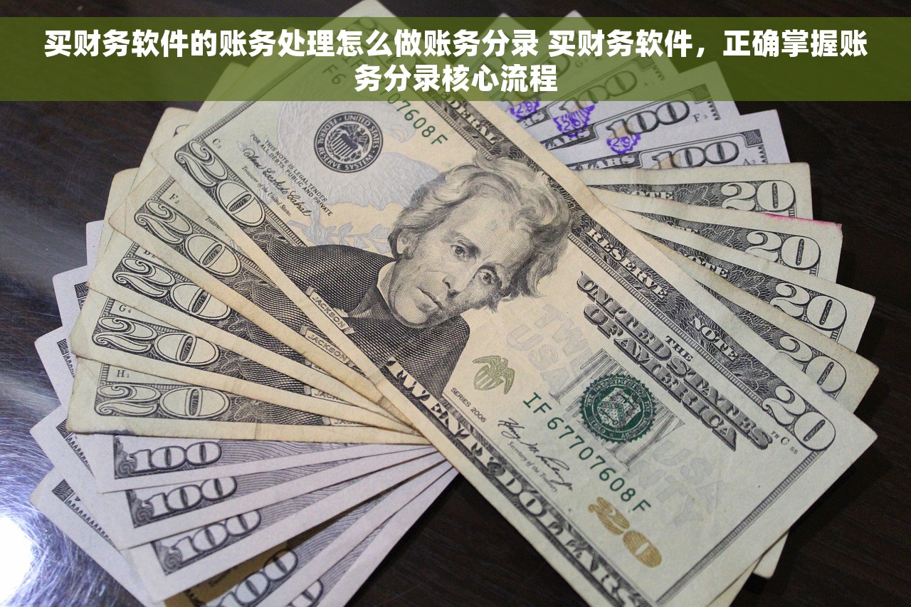 买财务软件的账务处理怎么做账务分录 买财务软件，正确掌握账务分录核心流程