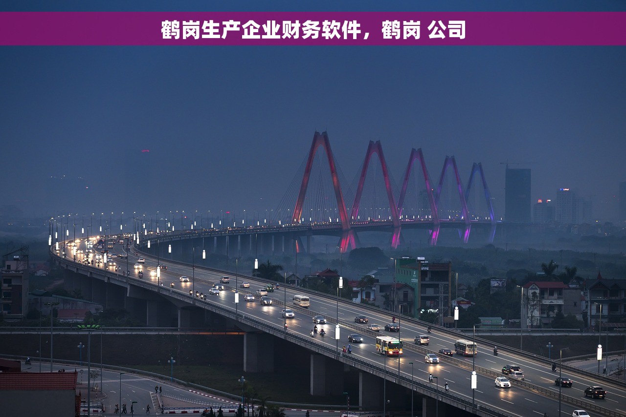 鹤岗生产企业财务软件，鹤岗 公司