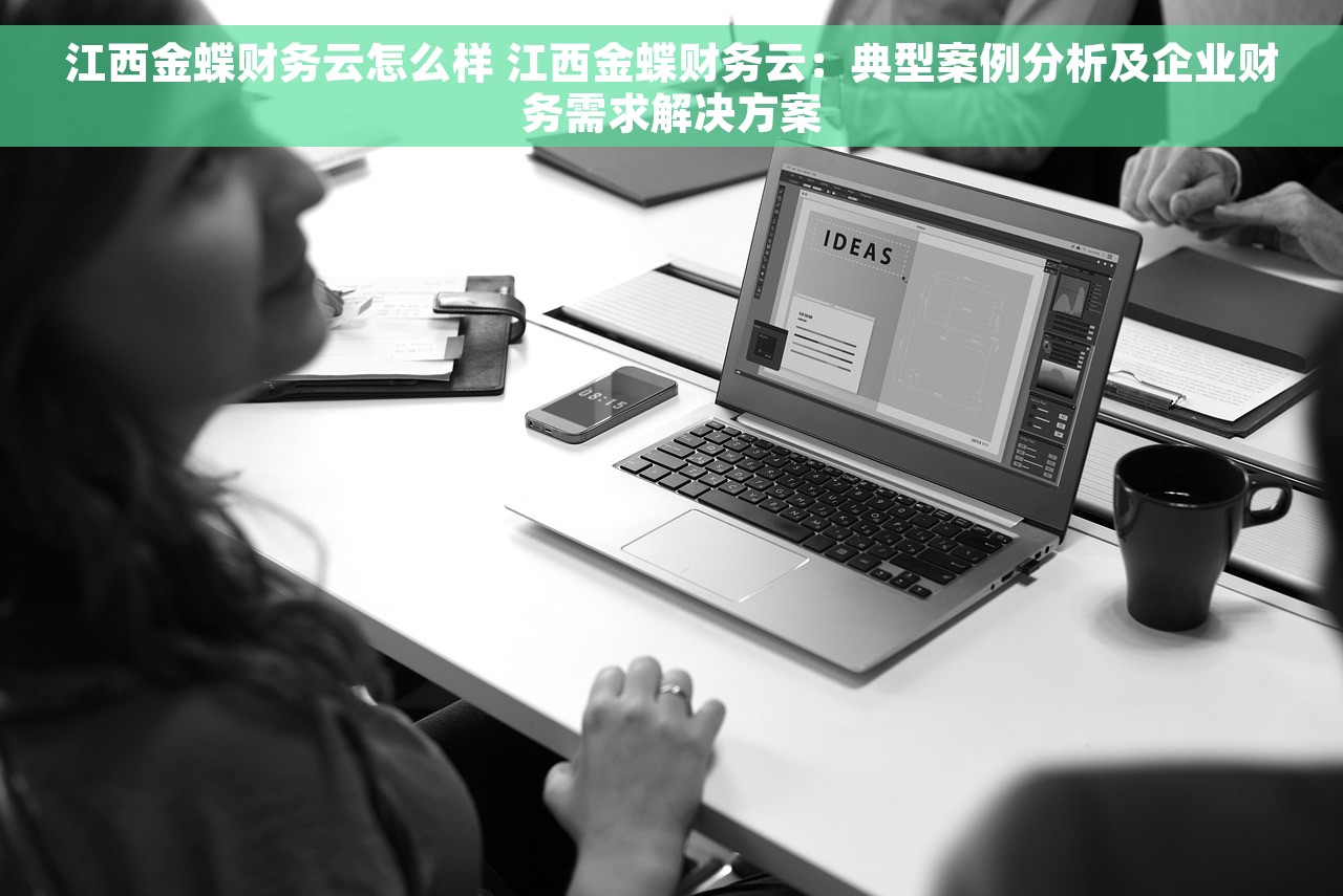 江西金蝶财务云怎么样 江西金蝶财务云：典型案例分析及企业财务需求解决方案