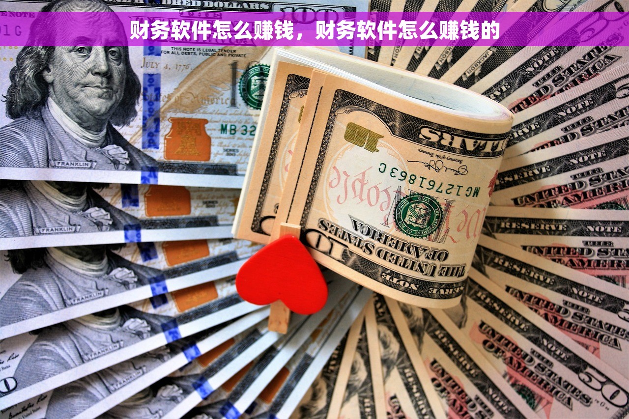财务软件怎么赚钱，财务软件怎么赚钱的