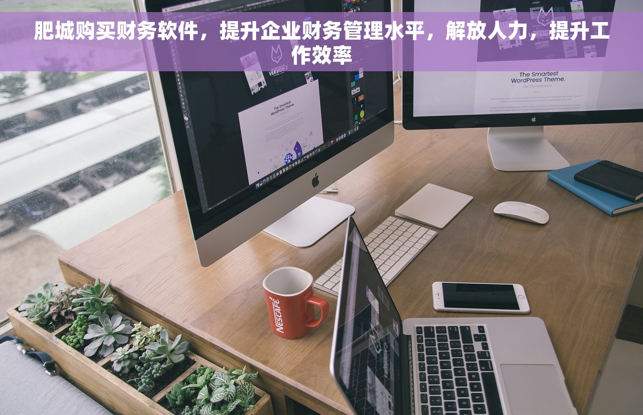 肥城购买财务软件，提升企业财务管理水平，解放人力，提升工作效率