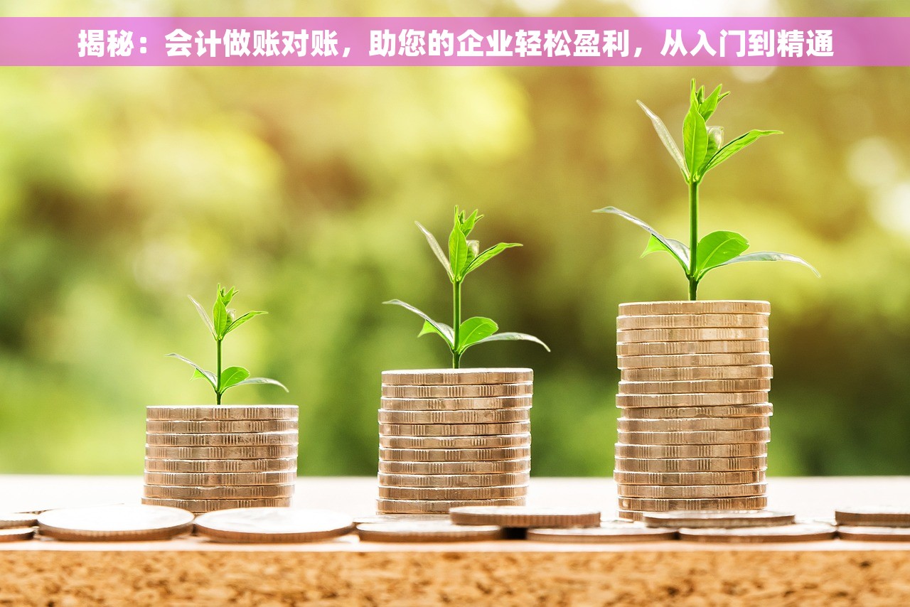 揭秘：会计做账对账，助您的企业轻松盈利，从入门到精通