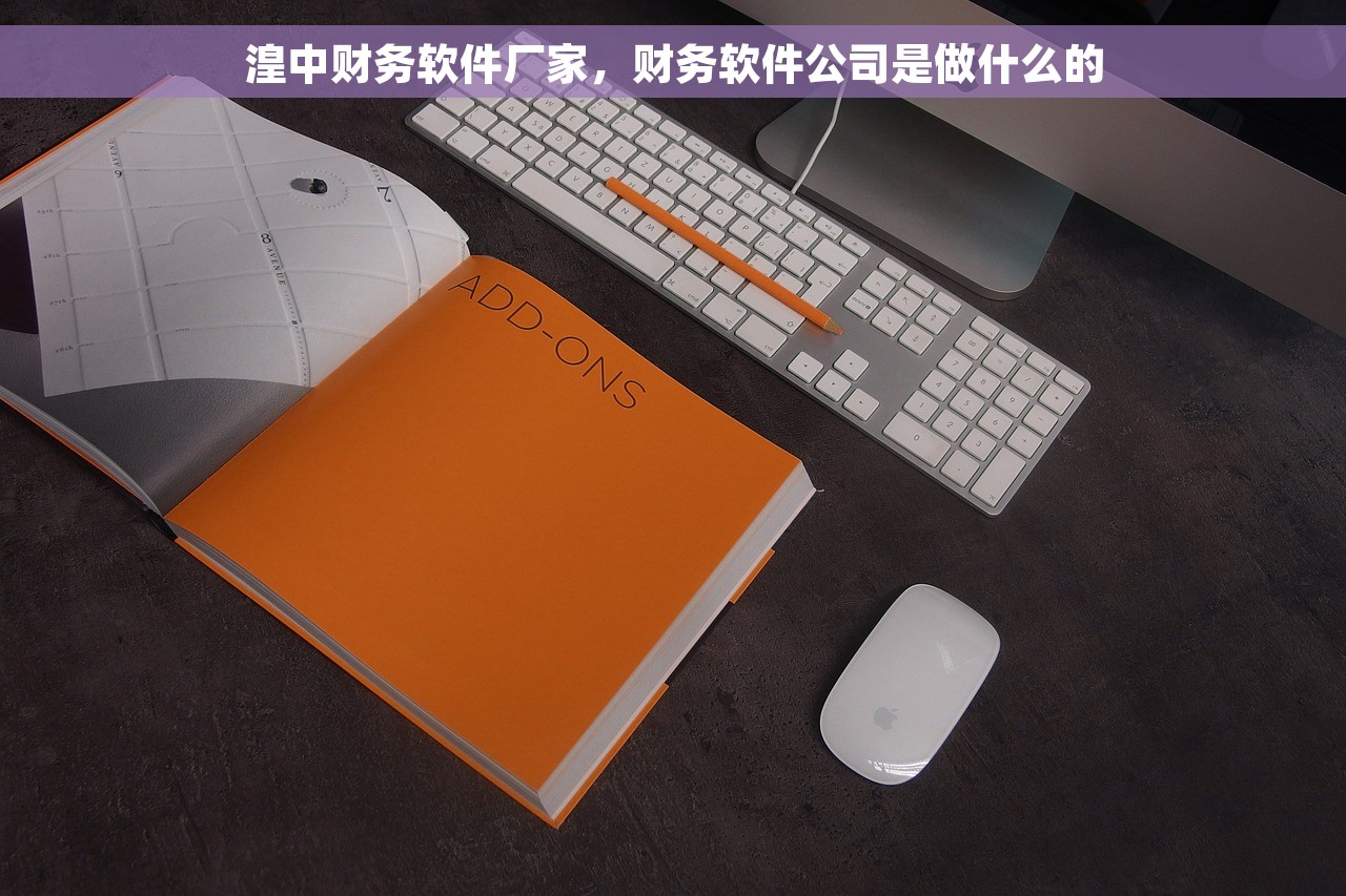 湟中财务软件厂家，财务软件公司是做什么的