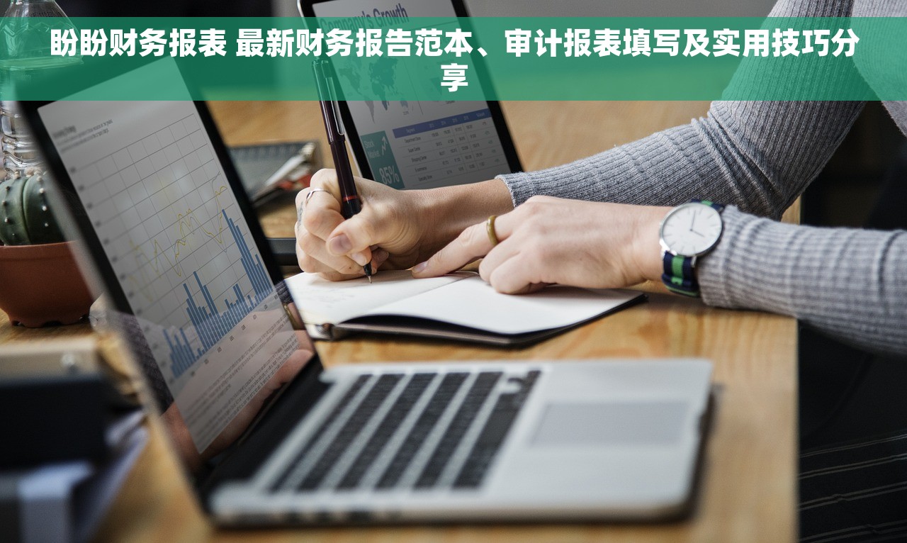盼盼财务报表 最新财务报告范本、审计报表填写及实用技巧分享