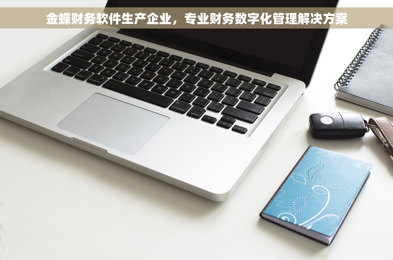 马鞍山财务软件厂家排名 火爆财务软件排名：马鞍山厂家震撼揭晓