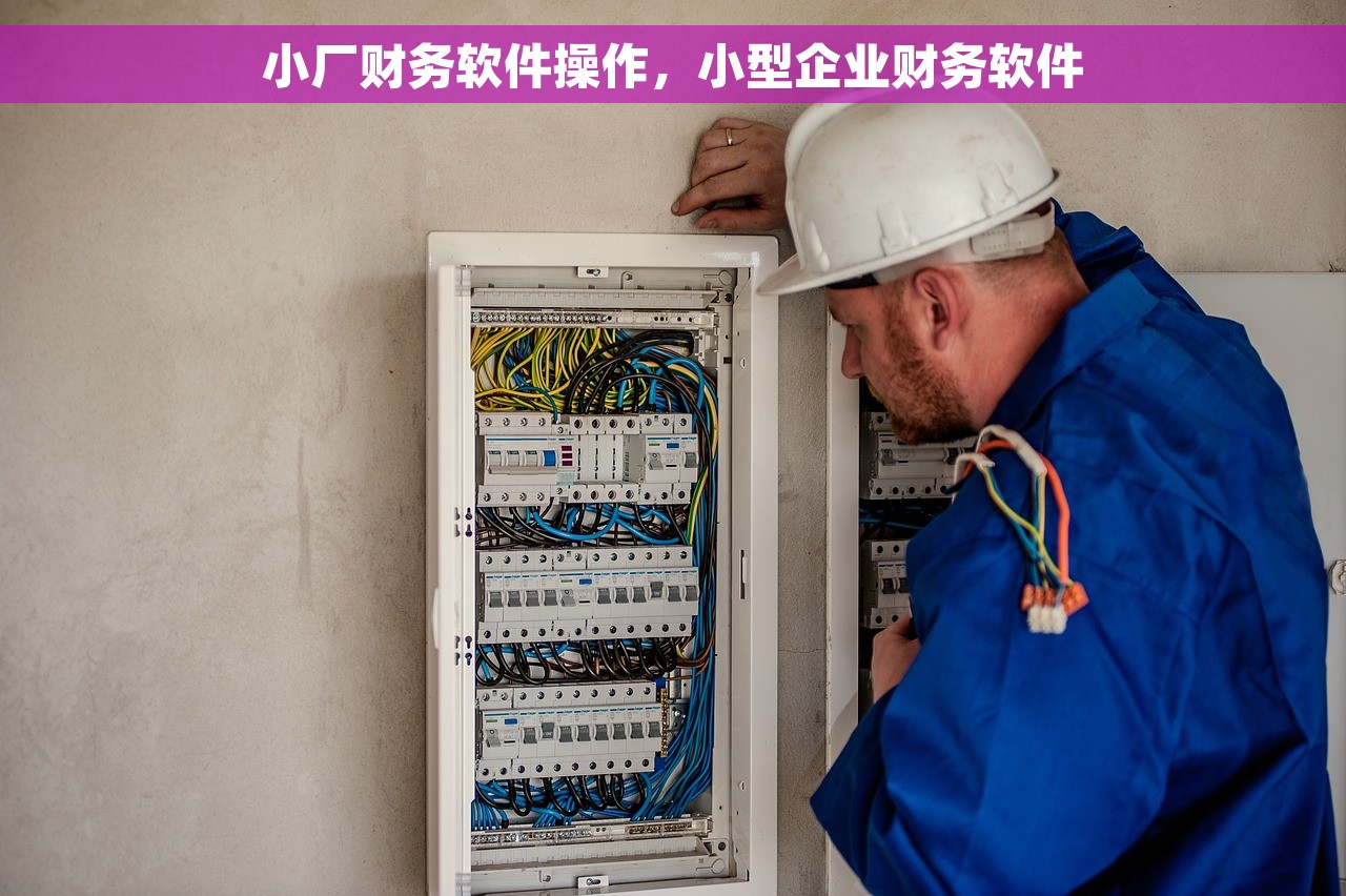 小厂财务软件操作，小型企业财务软件