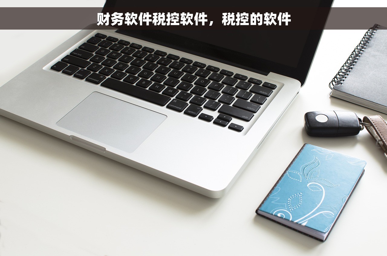 财务软件税控软件，税控的软件