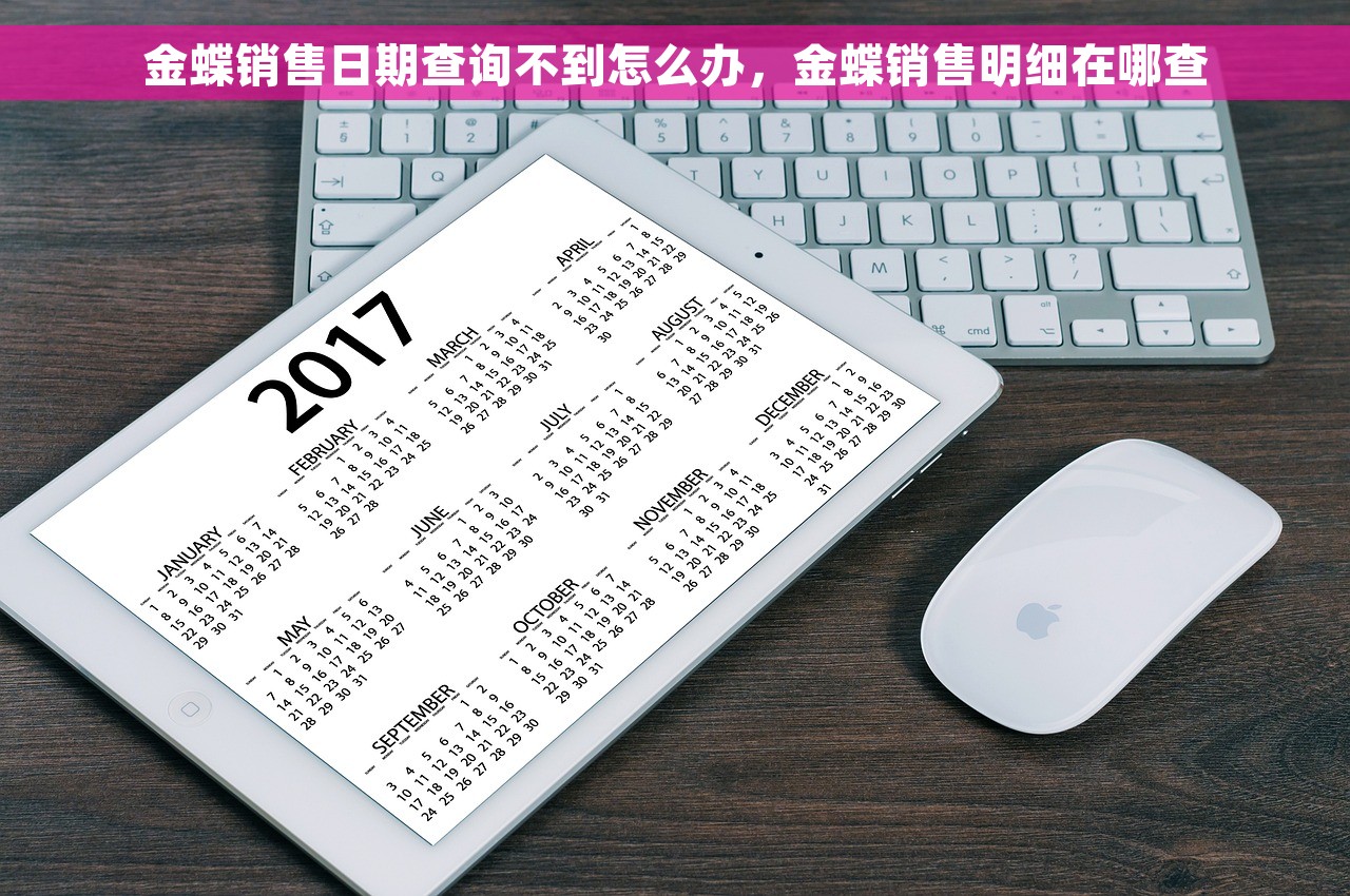金蝶销售日期查询不到怎么办，金蝶销售明细在哪查