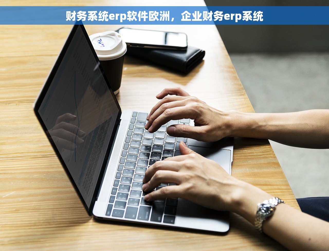 财务系统erp软件欧洲，企业财务erp系统