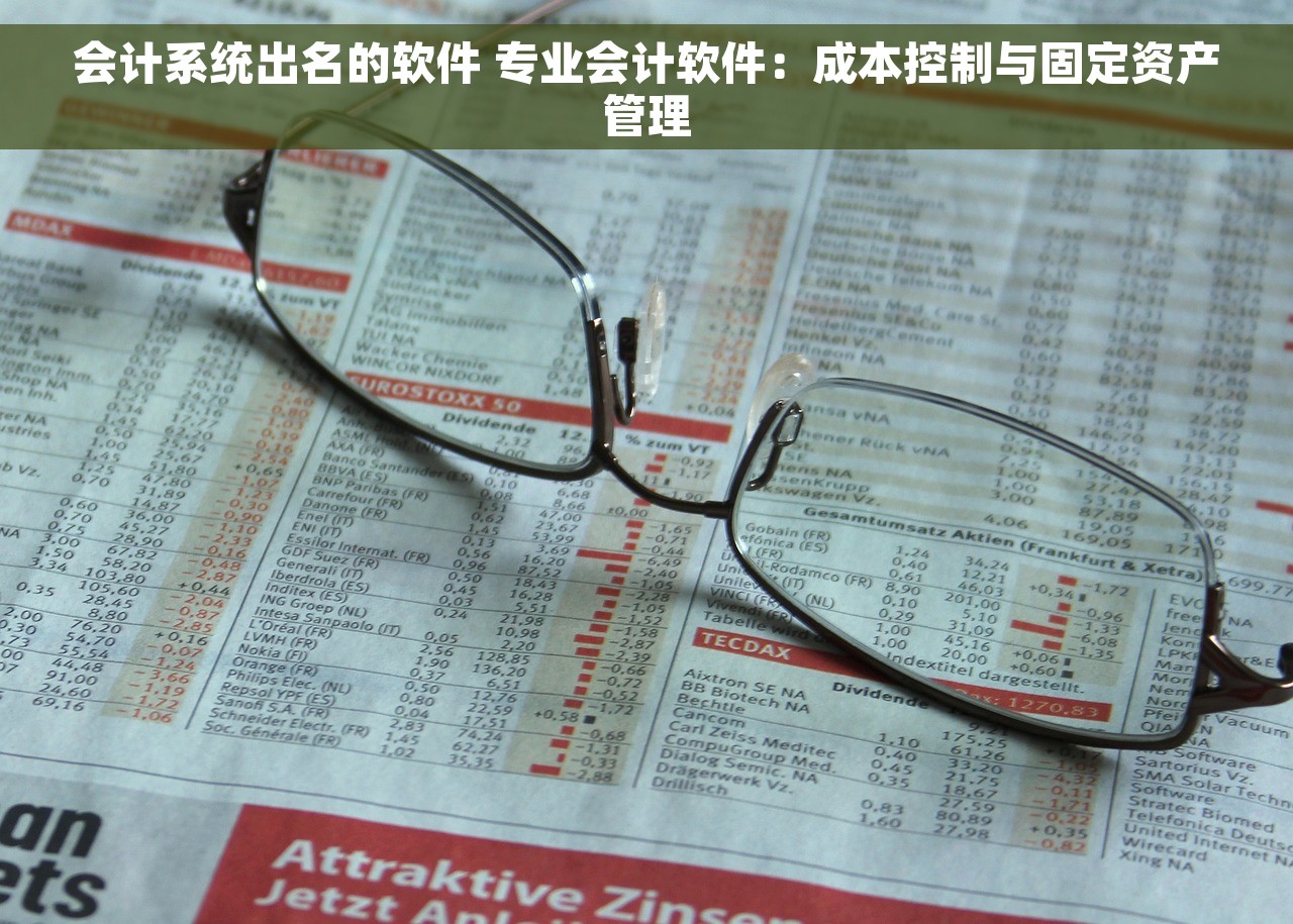 会计系统出名的软件 专业会计软件：成本控制与固定资产管理