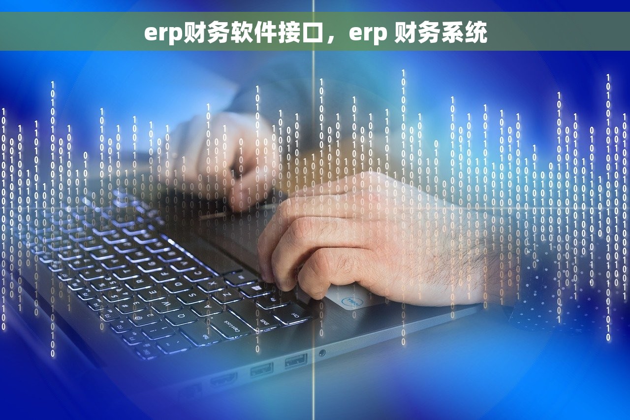 erp财务软件接口，erp 财务系统