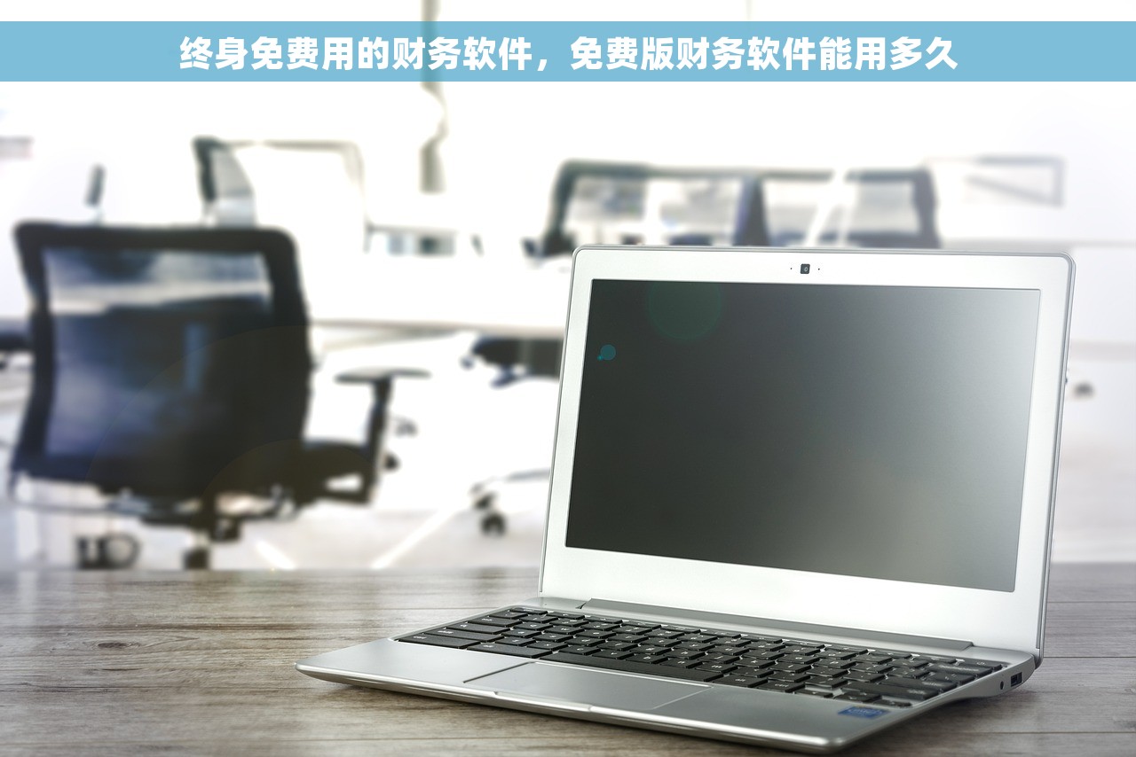 终身免费用的财务软件，免费版财务软件能用多久