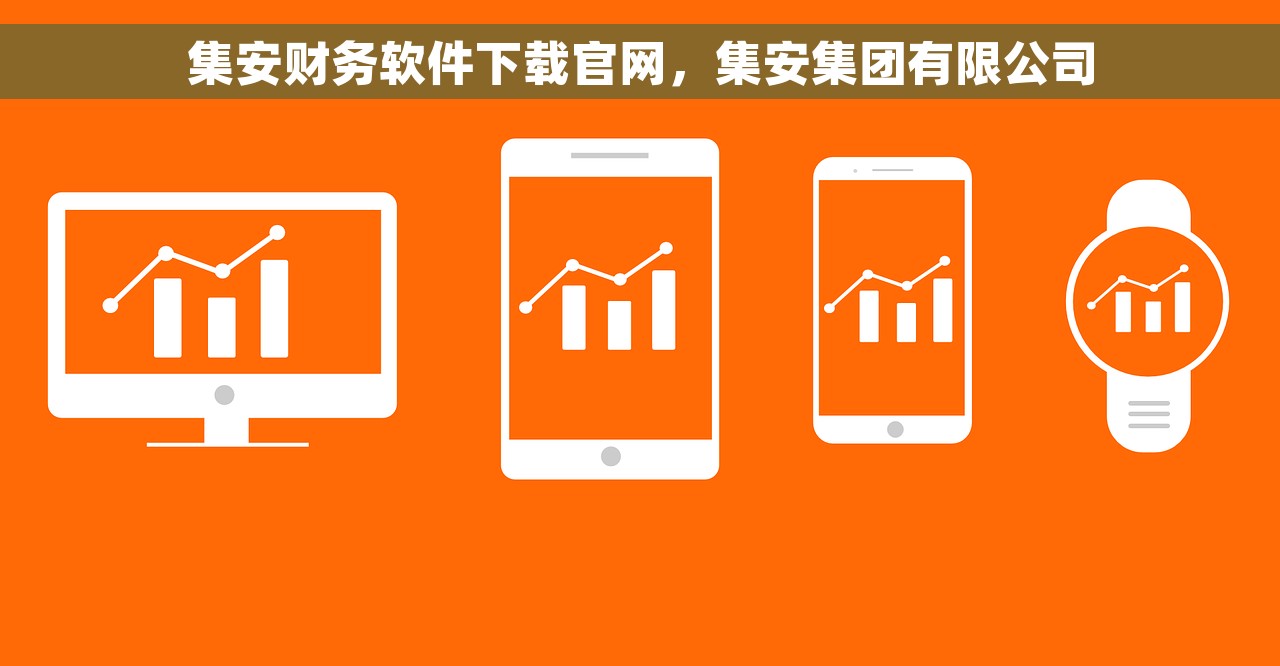 集安财务软件下载官网，集安集团有限公司