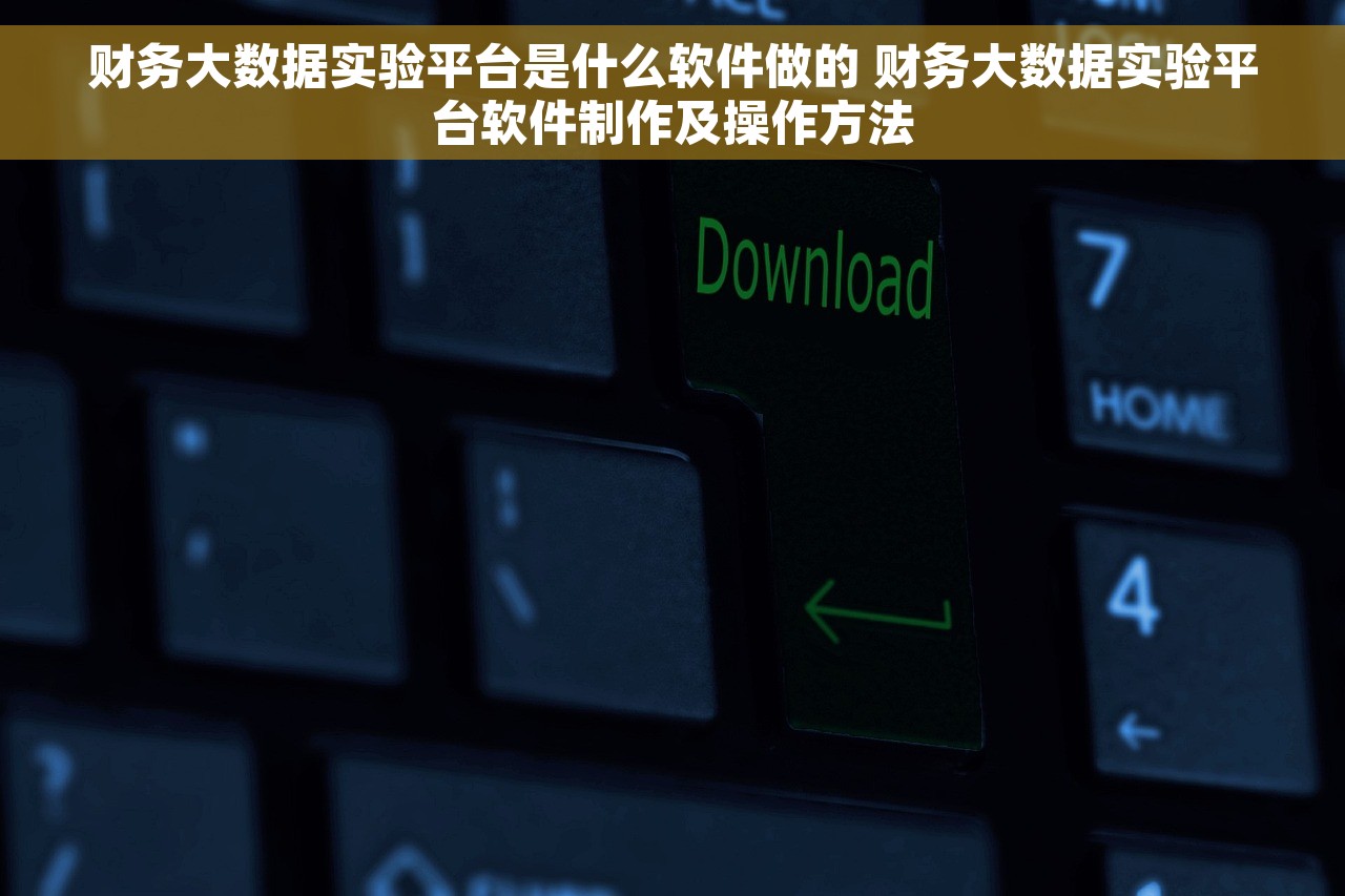财务大数据实验平台是什么软件做的 财务大数据实验平台软件制作及操作方法