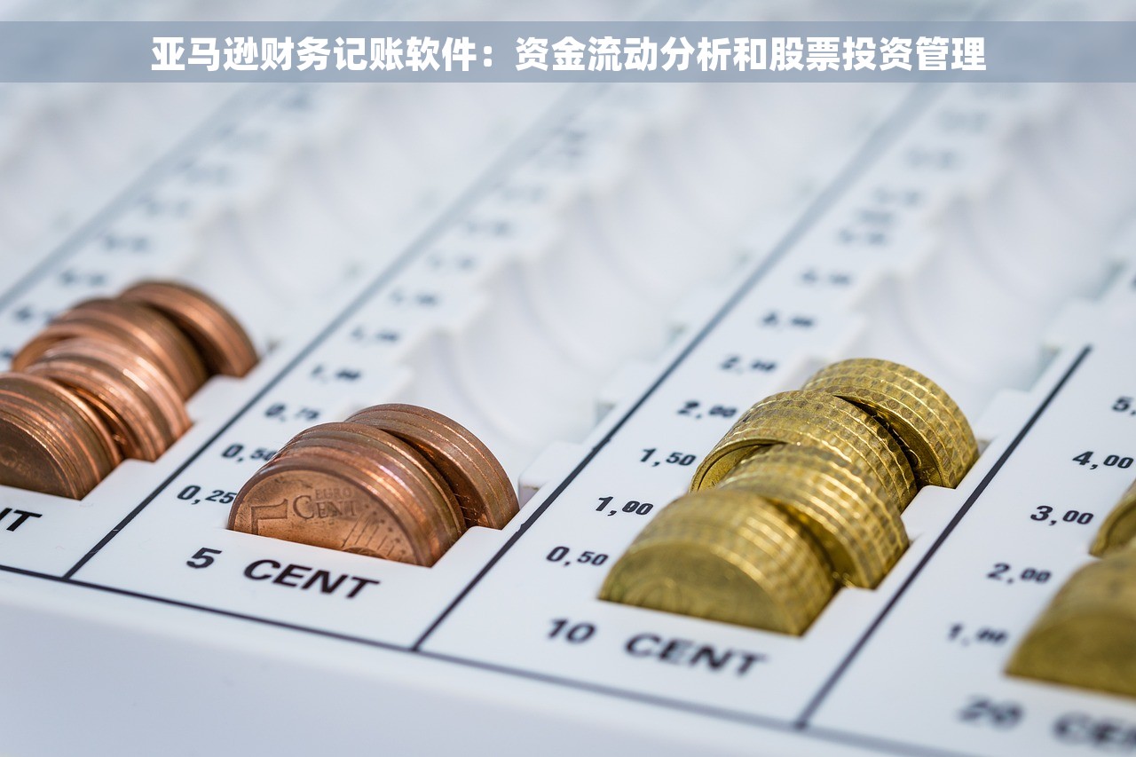 亚马逊财务记账软件：资金流动分析和股票投资管理
