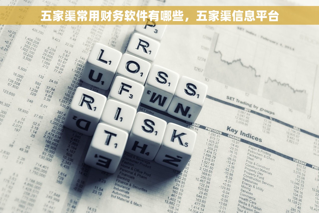 五家渠常用财务软件有哪些，五家渠信息平台