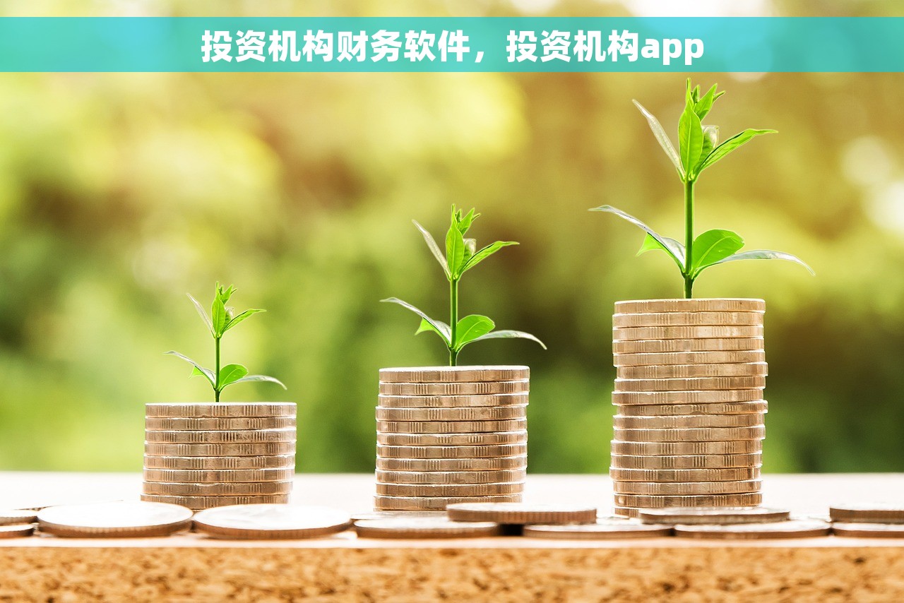 投资机构财务软件，投资机构app