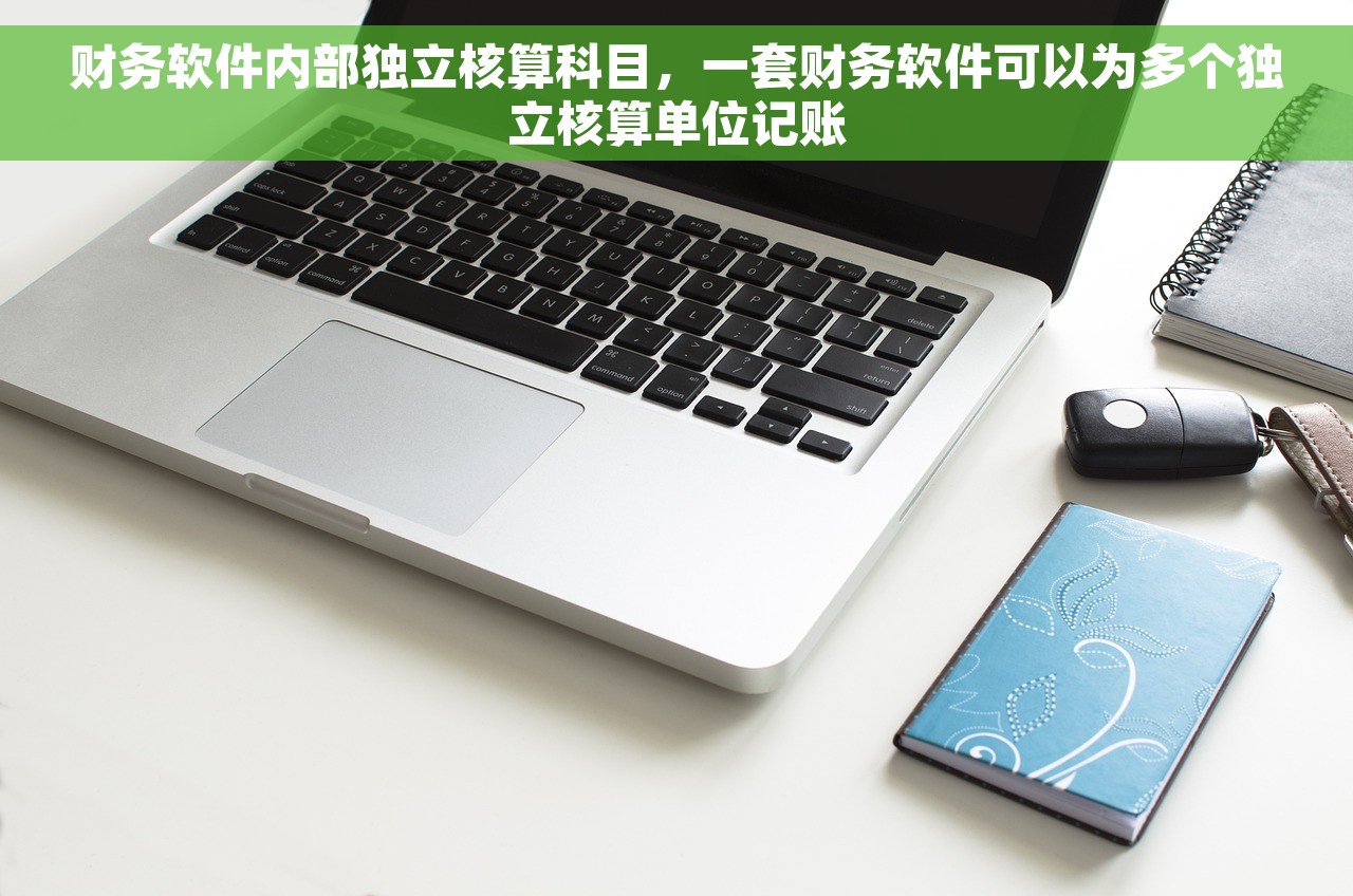 财务软件内部独立核算科目，一套财务软件可以为多个独立核算单位记账
