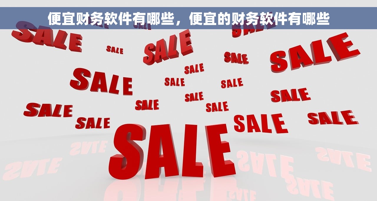 便宜财务软件有哪些，便宜的财务软件有哪些