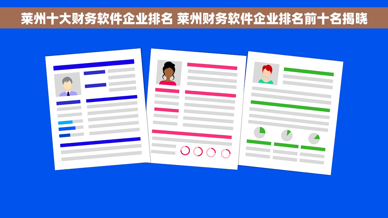 莱州十大财务软件企业排名 莱州财务软件企业排名前十名揭晓
