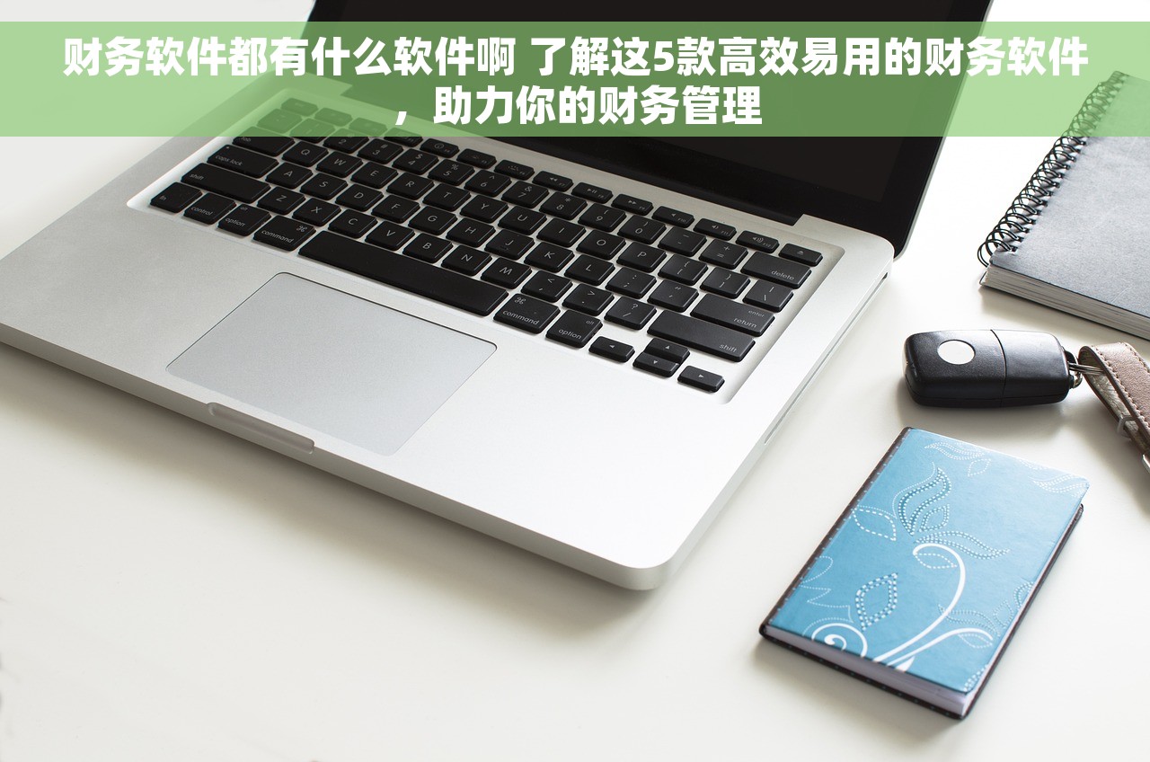 财务软件都有什么软件啊 了解这5款高效易用的财务软件，助力你的财务管理