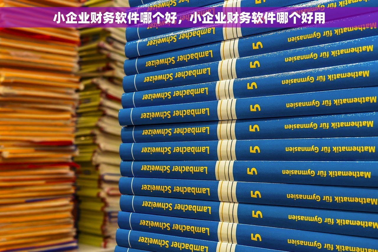 小企业财务软件哪个好，小企业财务软件哪个好用