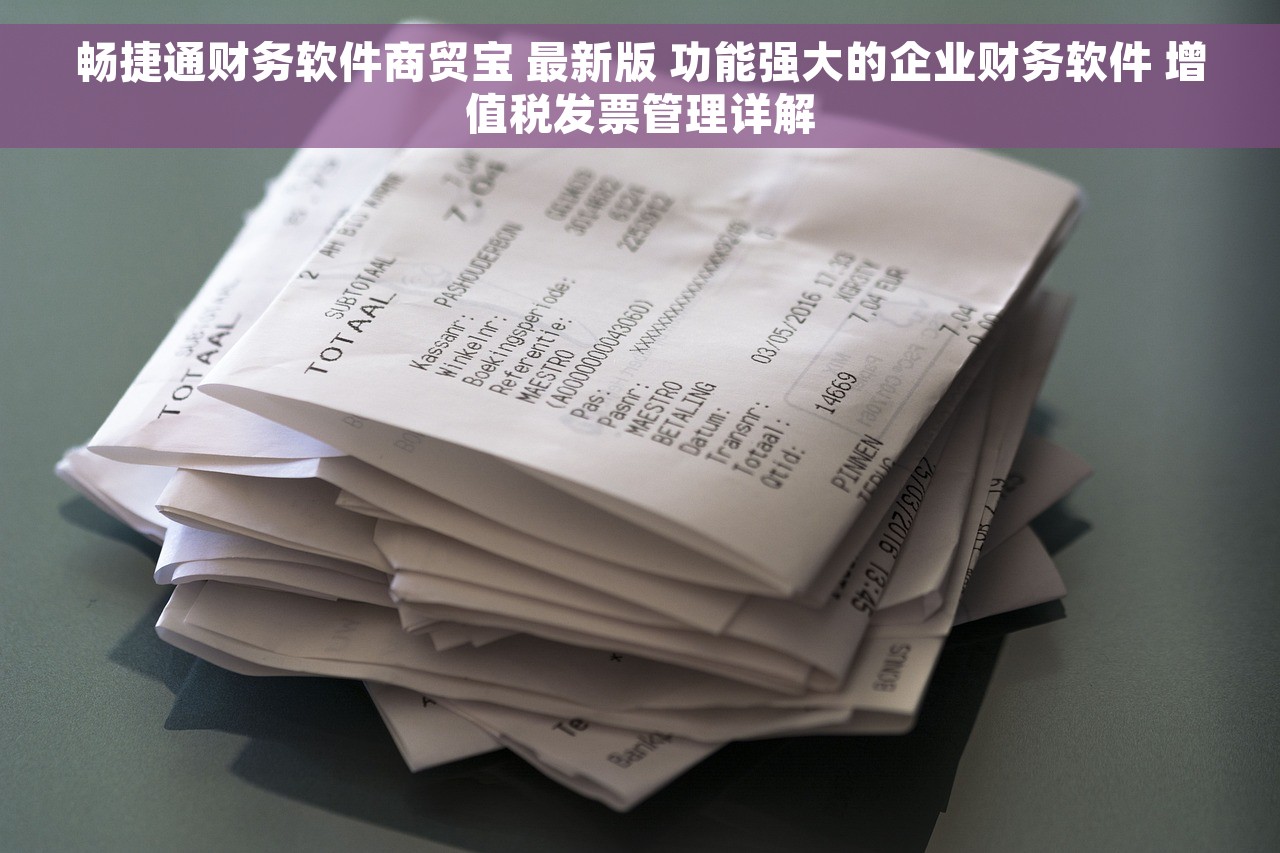 畅捷通财务软件商贸宝 最新版 功能强大的企业财务软件 增值税发票管理详解