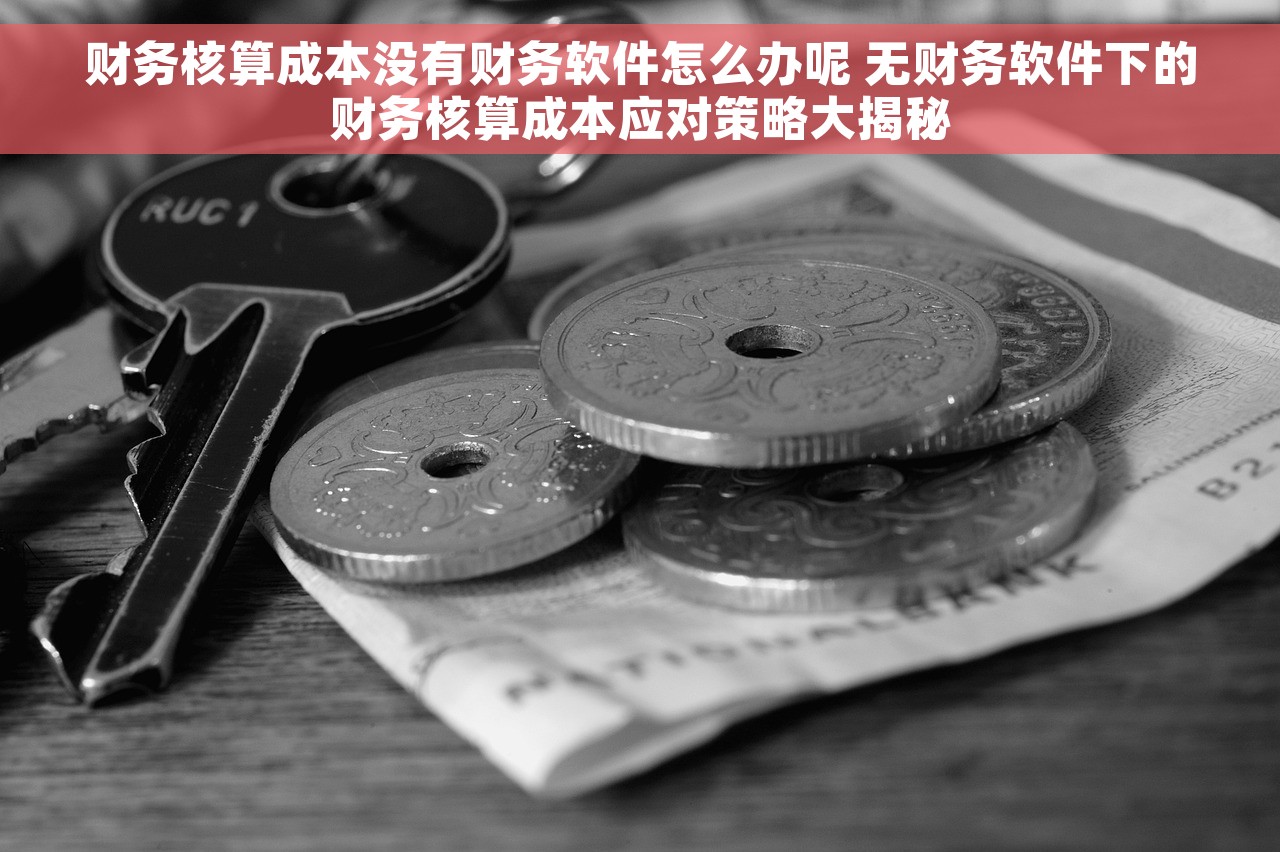 财务核算成本没有财务软件怎么办呢 无财务软件下的财务核算成本应对策略大揭秘