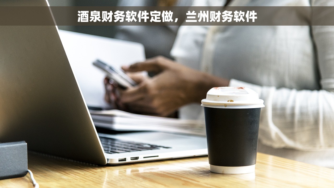 酒泉财务软件定做，兰州财务软件