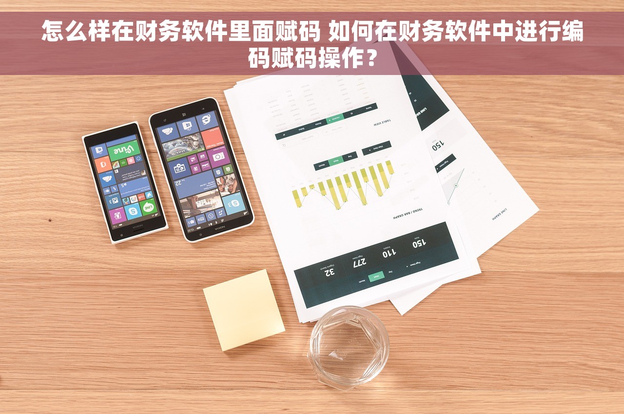 怎么样在财务软件里面赋码 如何在财务软件中进行编码赋码操作？