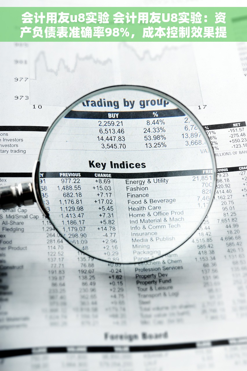 会计用友u8实验 会计用友U8实验：资产负债表准确率98%，成本控制效果提升30%
