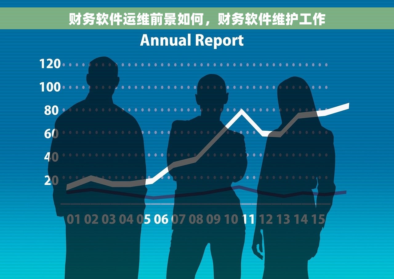 财务软件运维前景如何，财务软件维护工作