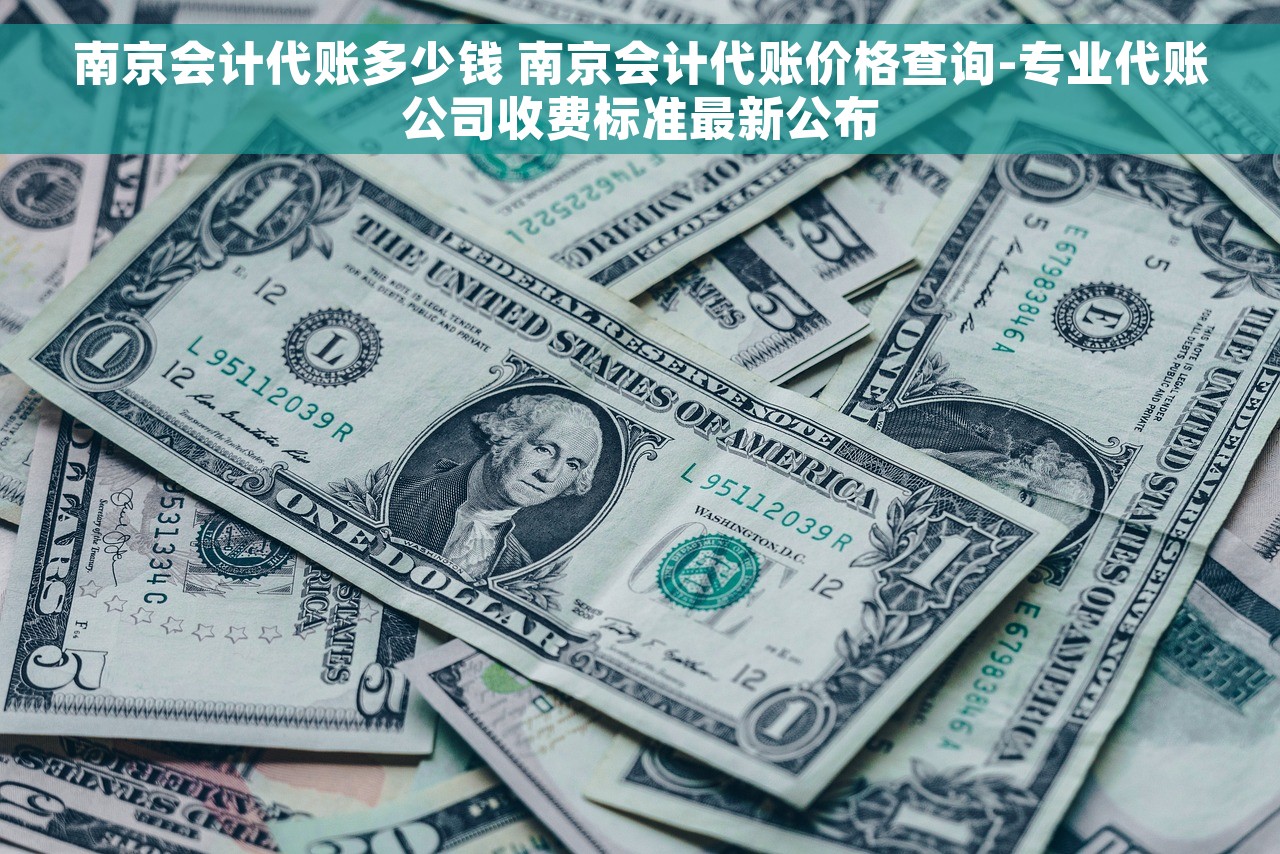 南京会计代账多少钱 南京会计代账价格查询-专业代账公司收费标准最新公布