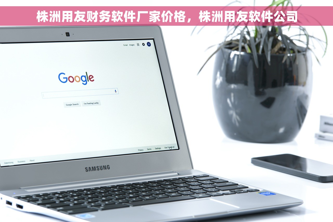 株洲用友财务软件厂家价格，株洲用友软件公司