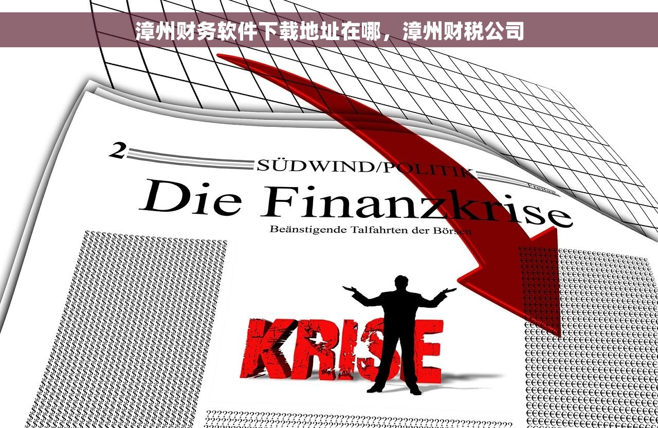 漳州财务软件下载地址在哪，漳州财税公司