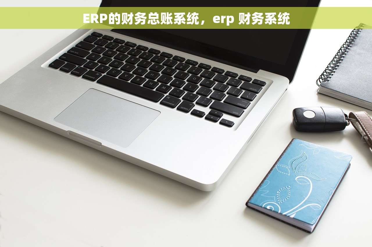 ERP的财务总账系统，erp 财务系统