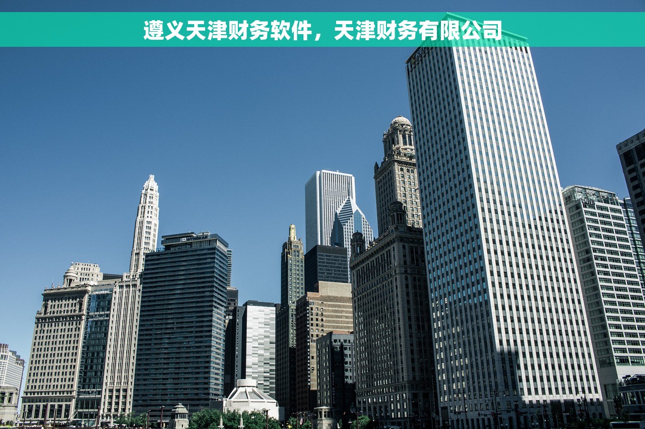 遵义天津财务软件，天津财务有限公司