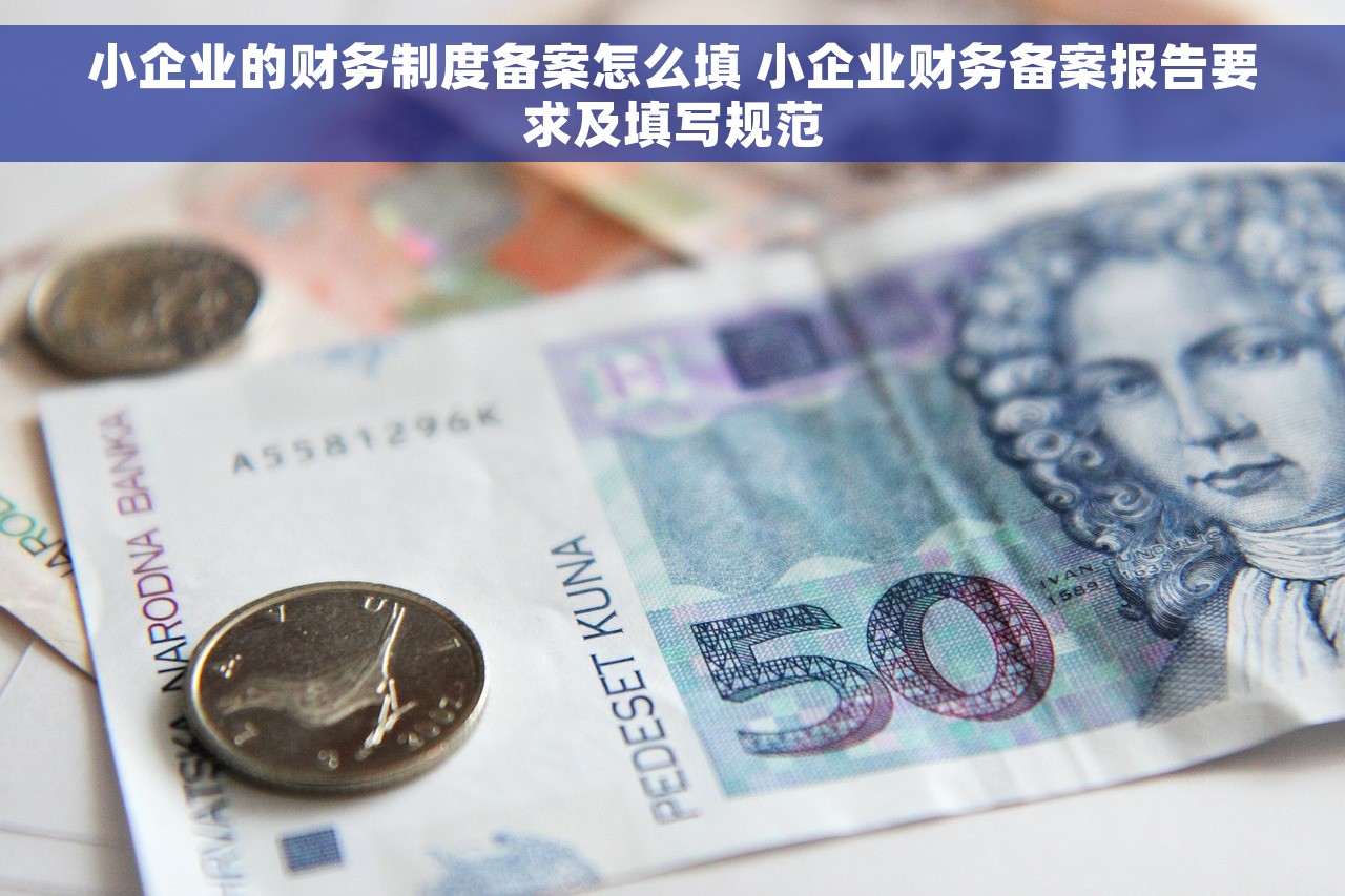 小企业的财务制度备案怎么填 小企业财务备案报告要求及填写规范