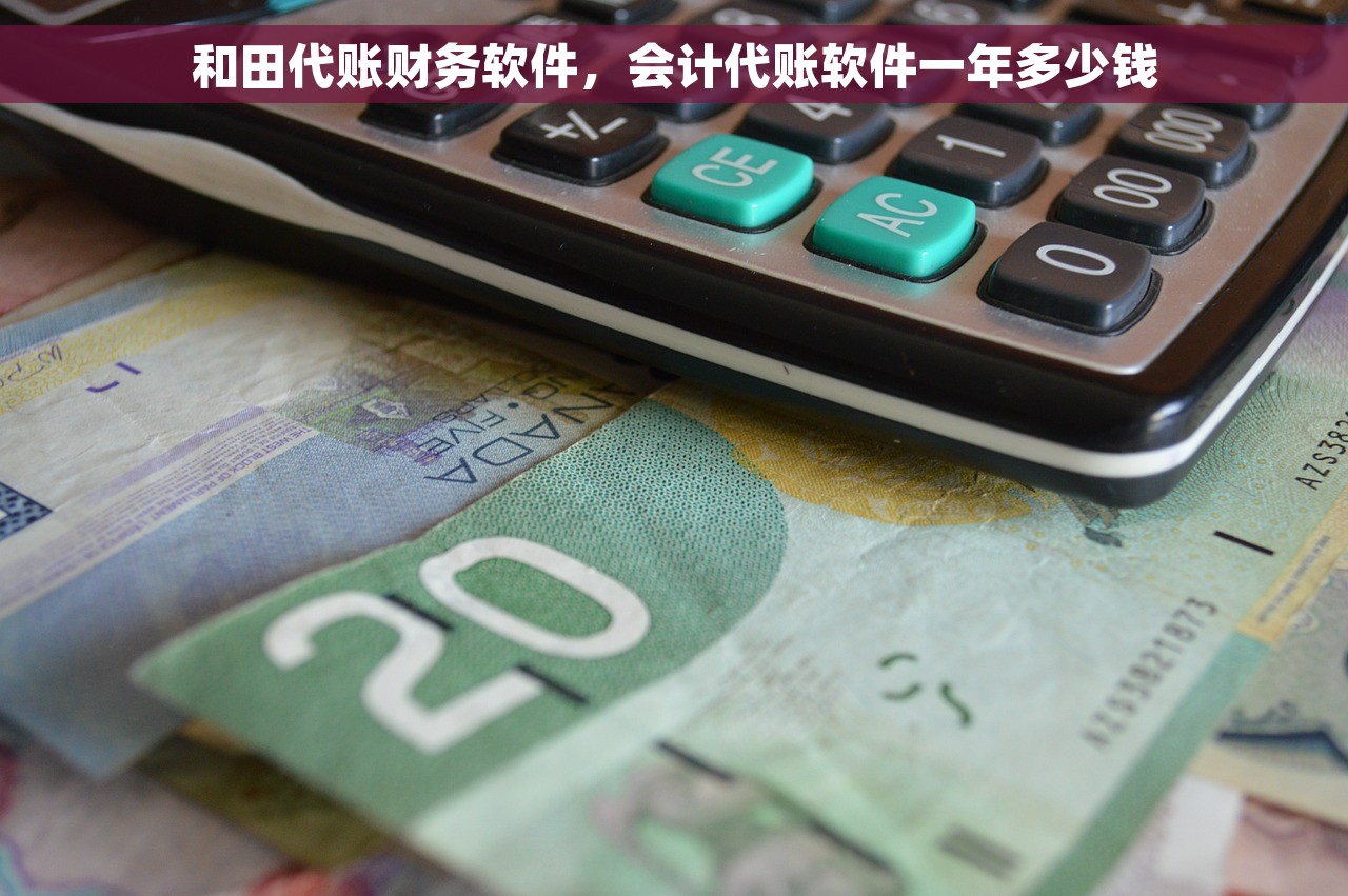 和田代账财务软件，会计代账软件一年多少钱