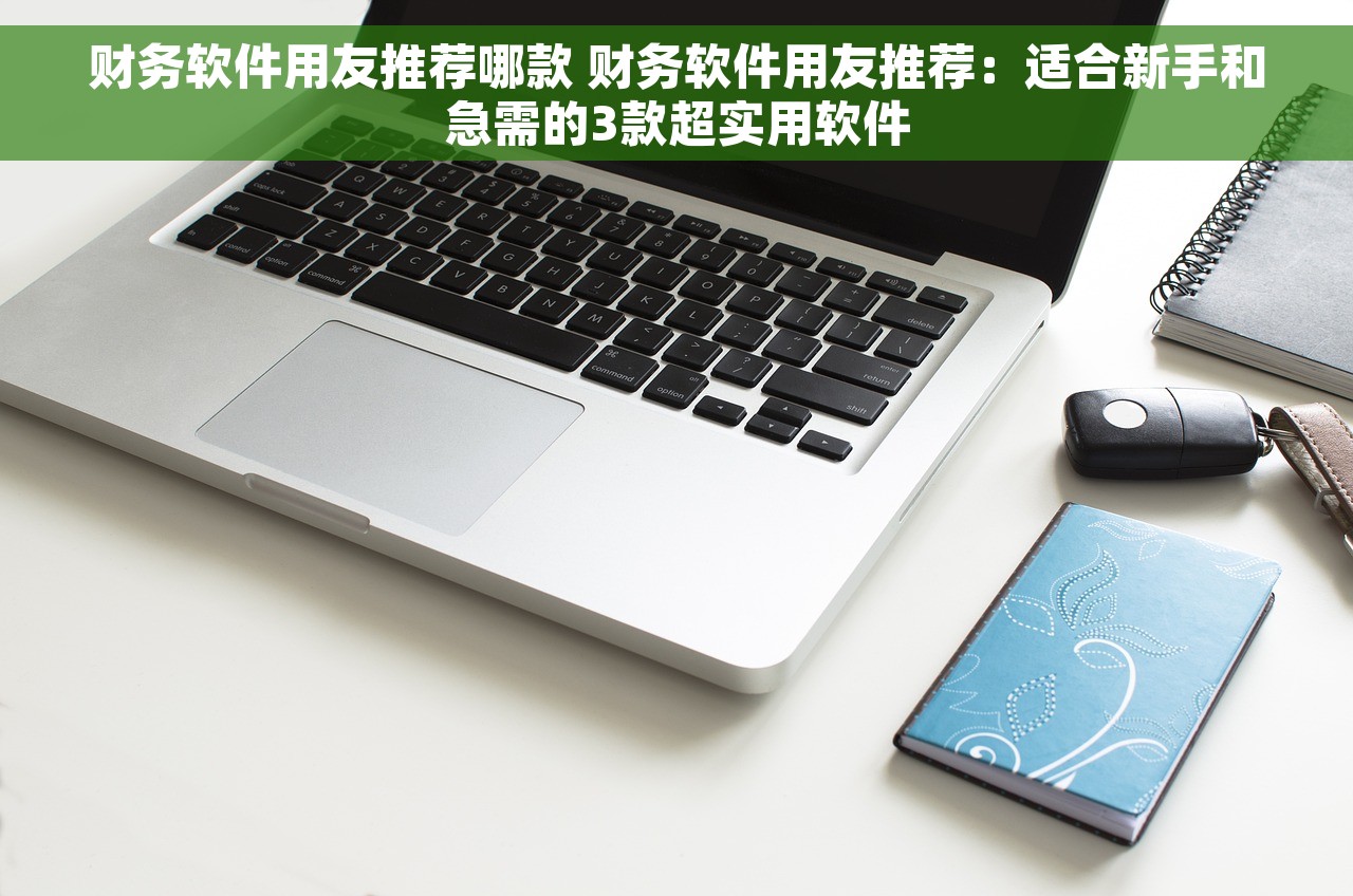 东软财务平台税务报表和财务报告生成
