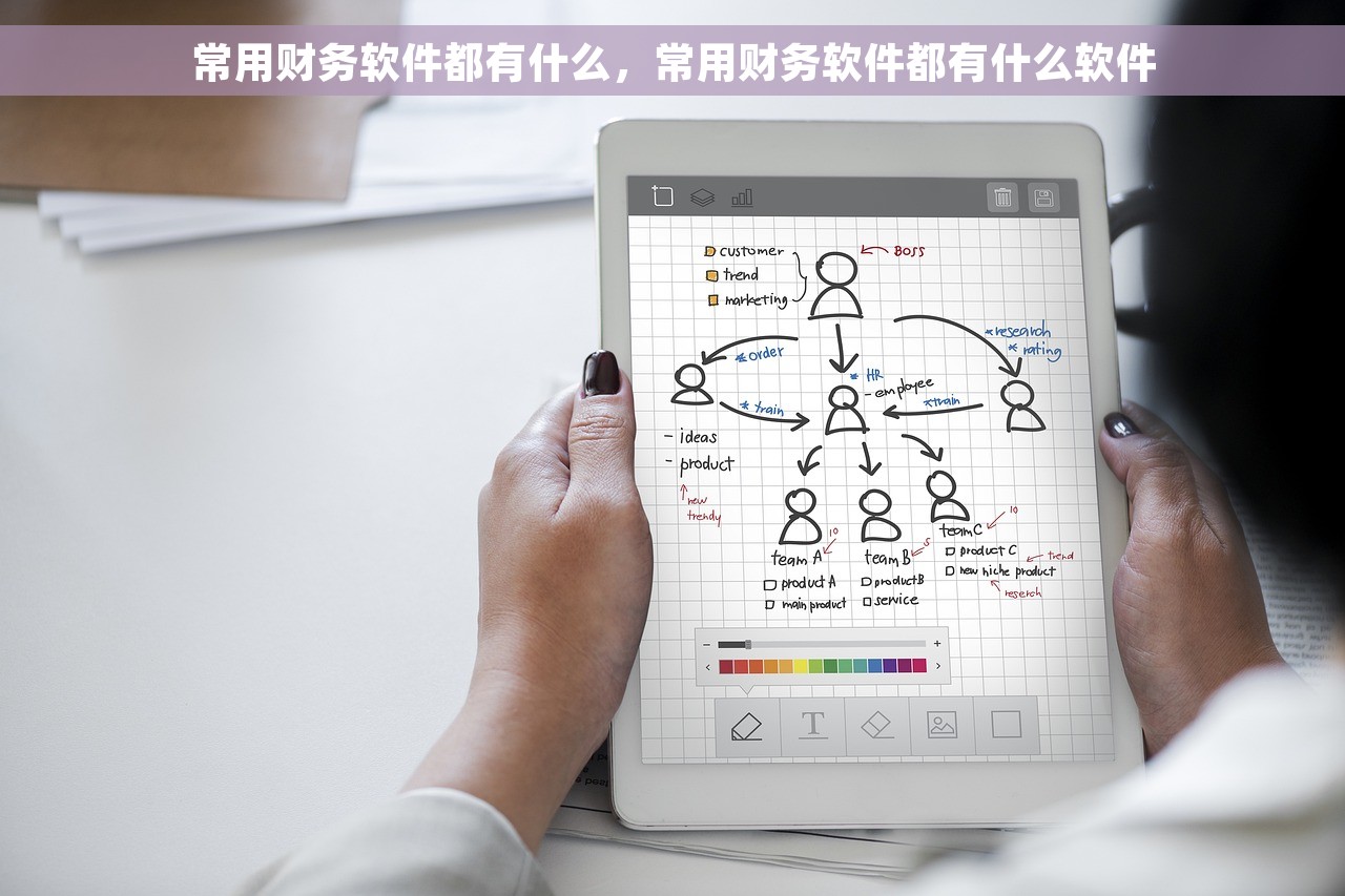 常用财务软件都有什么，常用财务软件都有什么软件